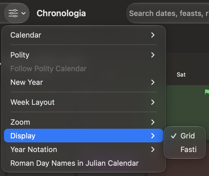 The Display submenu in View Options.